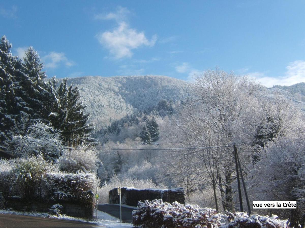 Le Chalet Bel Air Oderen Exterior foto